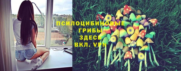 марки nbome Зеленодольск