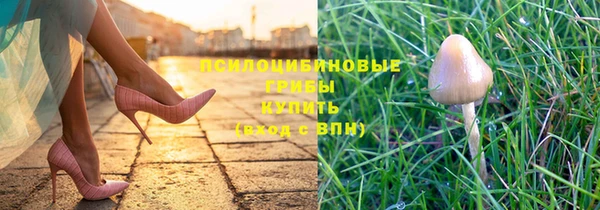твердый Зеленокумск