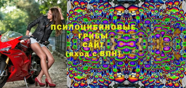 твердый Зеленокумск